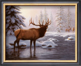 Elk II Prints by Richard Burns