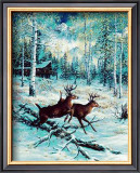 Deer, Winter Prints by Jeff Tift
