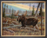Moose Print
