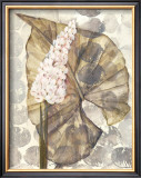 Amazonia III Prints by Amore 