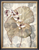 Amazonia II Posters by Amore 