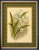 Classic Orchids IV Prints by Tara Wilde