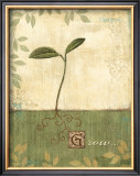 Grow and Bloom I Posters by Veronique 