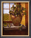 Figs in Tuscany Prints by Nancy Wiseman