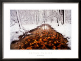 Autumn Passage Posters by Jim Brandenburg