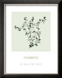 Thyme Poster by Nina Farrell