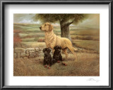 Proud Mother Prints by Barbara Norris