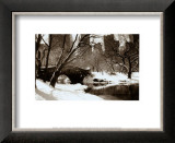 Central Park, Bridge Prints by Igor Maloratsky