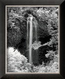 Nature's Jewel I Prints by Mike Jones