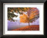 Autumn Mist Posters by Mike Jones