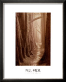 Cypress Trail Posters by Paul Kozal