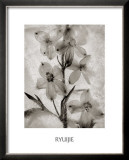 Glass Petals Art by Ryuijie 