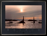 Twilight Prints by Bob Talbot