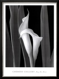 Embrace Prints by Mary Ann Mercer