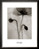 Dancing in Bubbles Prints by Ryuijie 