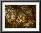 Leopard with Cub Posters by Silvia Duran