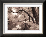 Daydream Prints by Mike Jones