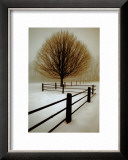 Solitude Prints by David Winston