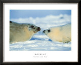 Mother and Pup Prints by Michio Hoshino