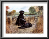 Change of Seasons Prints by Mark Polomchak