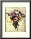 Lisianthus Posters by Rosanne Olson