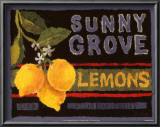 Lemon Crate Label Prints by Nancy Overton
