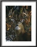 An Autumn Gentleman Prints by Carl Brenders