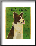 Border Collie Art by John Golden