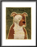 Pit Bull Print by John Golden