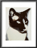 Cat, c.1976 Prints by Andy Warhol