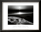 Birds on a Beach Art by Ansel Adams