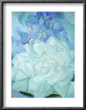 White Rose with Larkspur Poster by Georgia O'Keeffe White Rose with Larkspur Poster by Georgia O'Keeffe