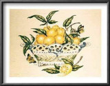Lemons in a Porcelain Basket Poster by P. Bowden