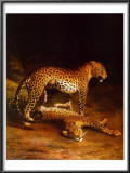 Two Leopards Playing in the Exeter Change Menagerie, c.1808 Prints by Jacques-Laurent Agasse
