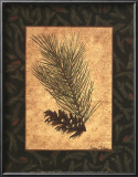 White Pine Prints by Susan Clickner