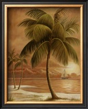 Island Palm I Prints by Ron Jenkins
