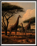 Giraffe Family Art by Clive Kay