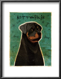 Rottweiler Posters by John Golden