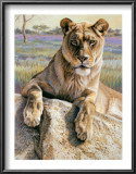 Serengeti Lioness Posters by Kalon Baughan