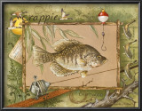 Crappie Art by Anita Phillips