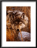 One to One Prints by Carl Brenders