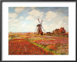 Tulip Fields with the Rijnsburg Windmill Prints by Claude Monet