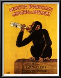 Anissetta Evangelisti, Liquore Da Dessert Art