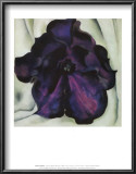 Purple Petunia Posters by Georgia O'Keeffe