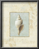 Soothing Words Shells I Posters by Lisa Audit