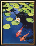 Koi Pond II Print by Maureen Love