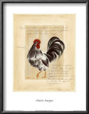 Major Grey I Prints by Claire Pavlik Purgus