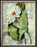 Amazonia I Prints by Amore 
