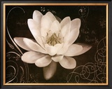 Garden Journal IV Print by Amy Melious