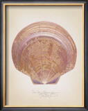 Saucer Scallop Pôsters por Richard Van Genderen